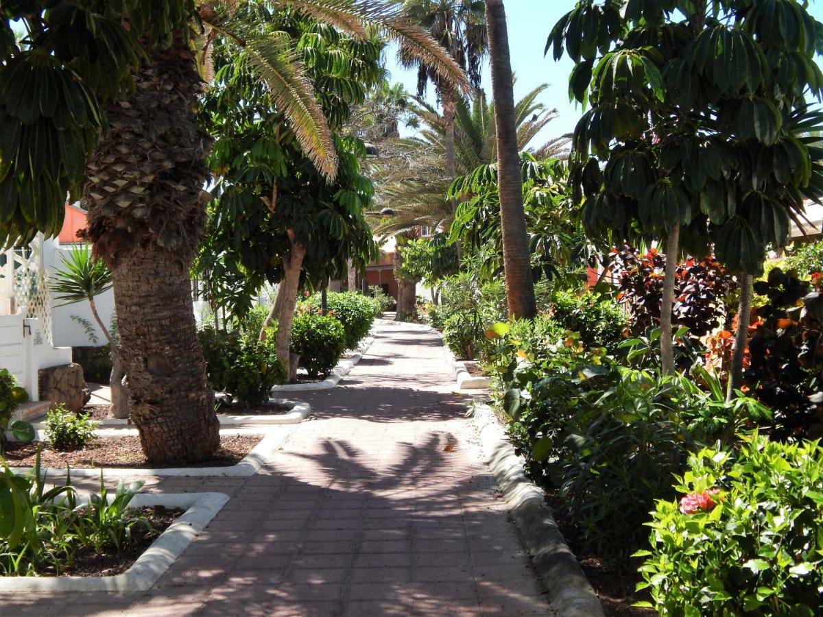 Beautiful Beachfront Playa de las Américas Extérieur photo